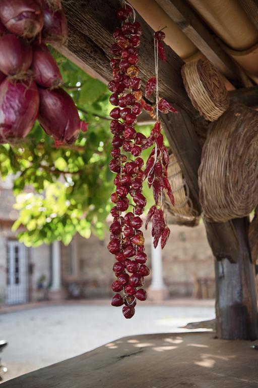Don Carlo Agriturismo Di Charme Bio Villa Le Pioppe ภายนอก รูปภาพ
