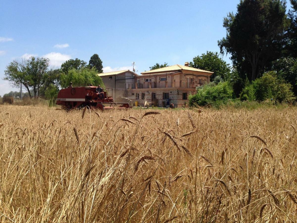 Don Carlo Agriturismo Di Charme Bio Villa Le Pioppe ภายนอก รูปภาพ