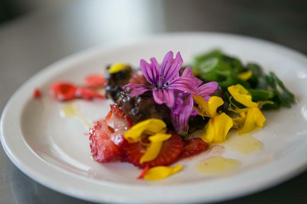 Don Carlo Agriturismo Di Charme Bio Villa Le Pioppe ภายนอก รูปภาพ